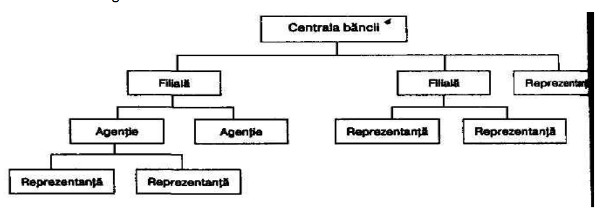 Structura organizatorico-teritorială a unei bănci 